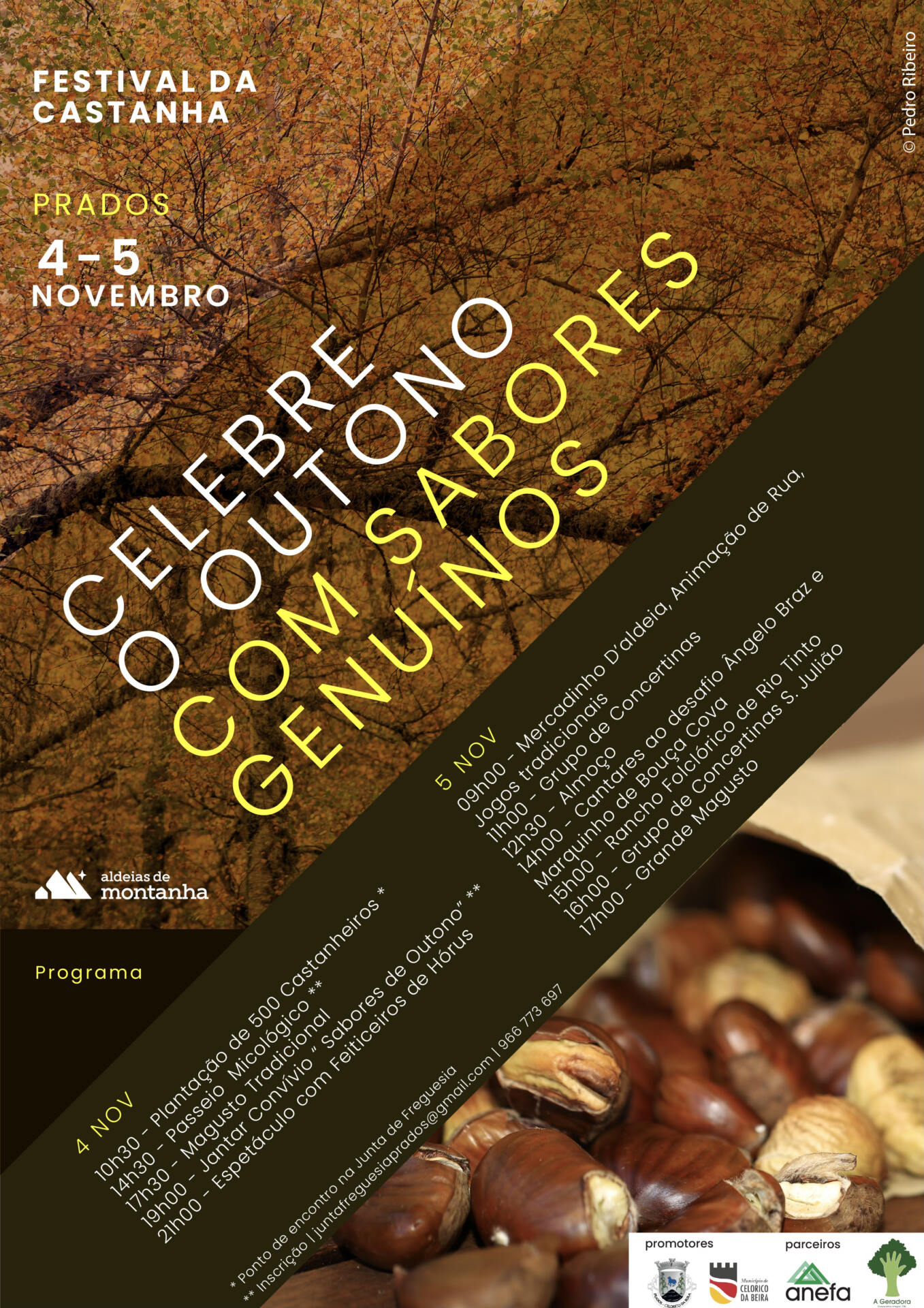 Cartaz Castanha (002)