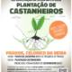 Plantacao De Castanheiros