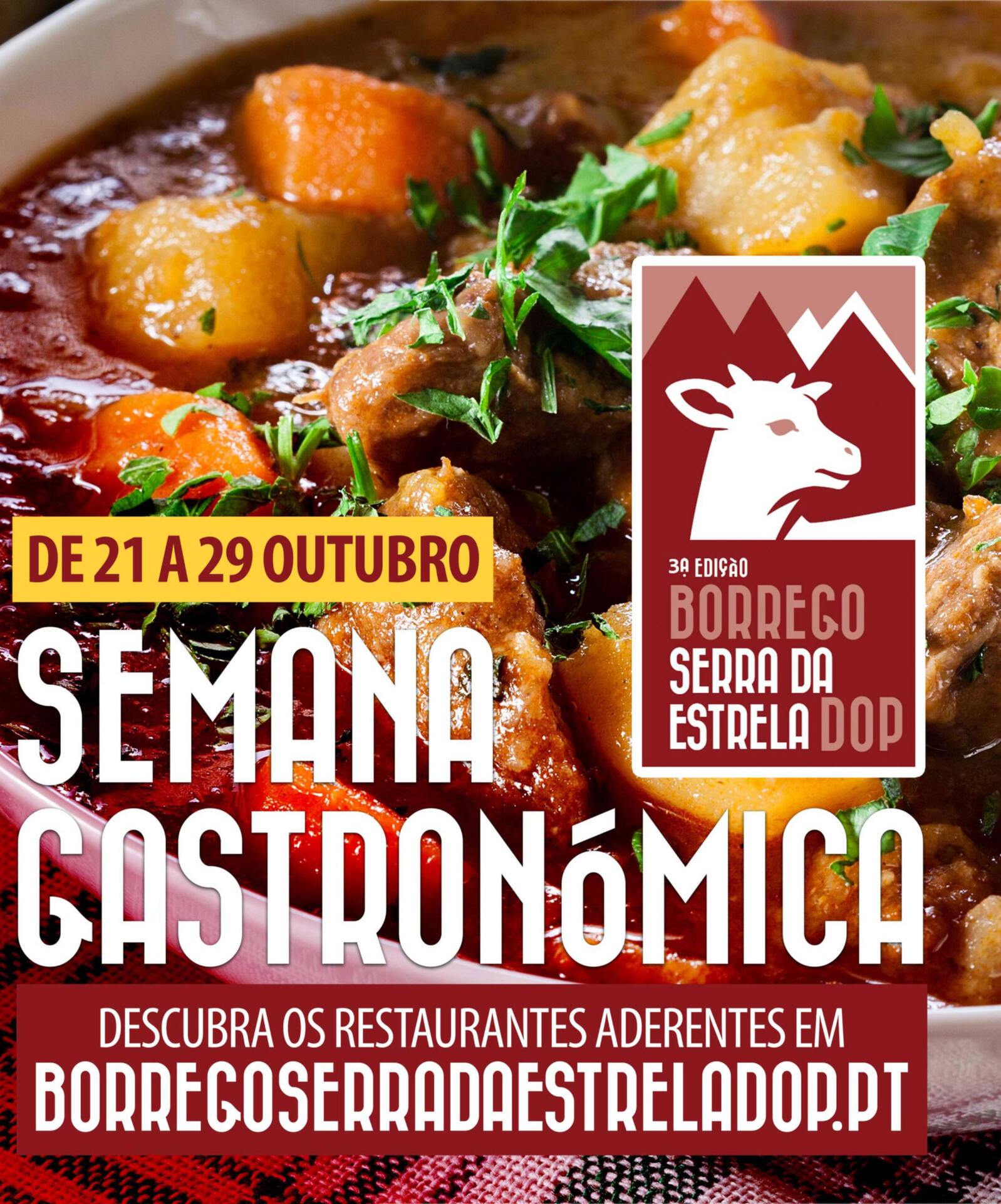 S Gastronomica 01