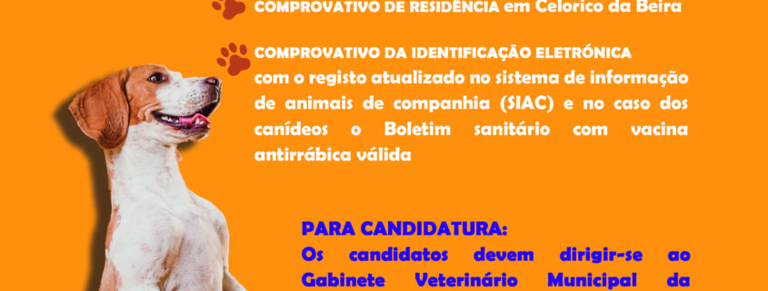 Esterilização 2024 01