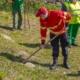 Reflorestação Verde Puro (15)