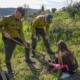 Reflorestação Verde Puro (39)