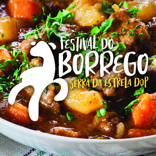 Festival Borrego