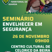 Cartaz Seminário