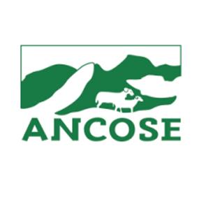 Ancose