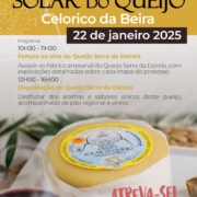 Dia Do Queijo Solar