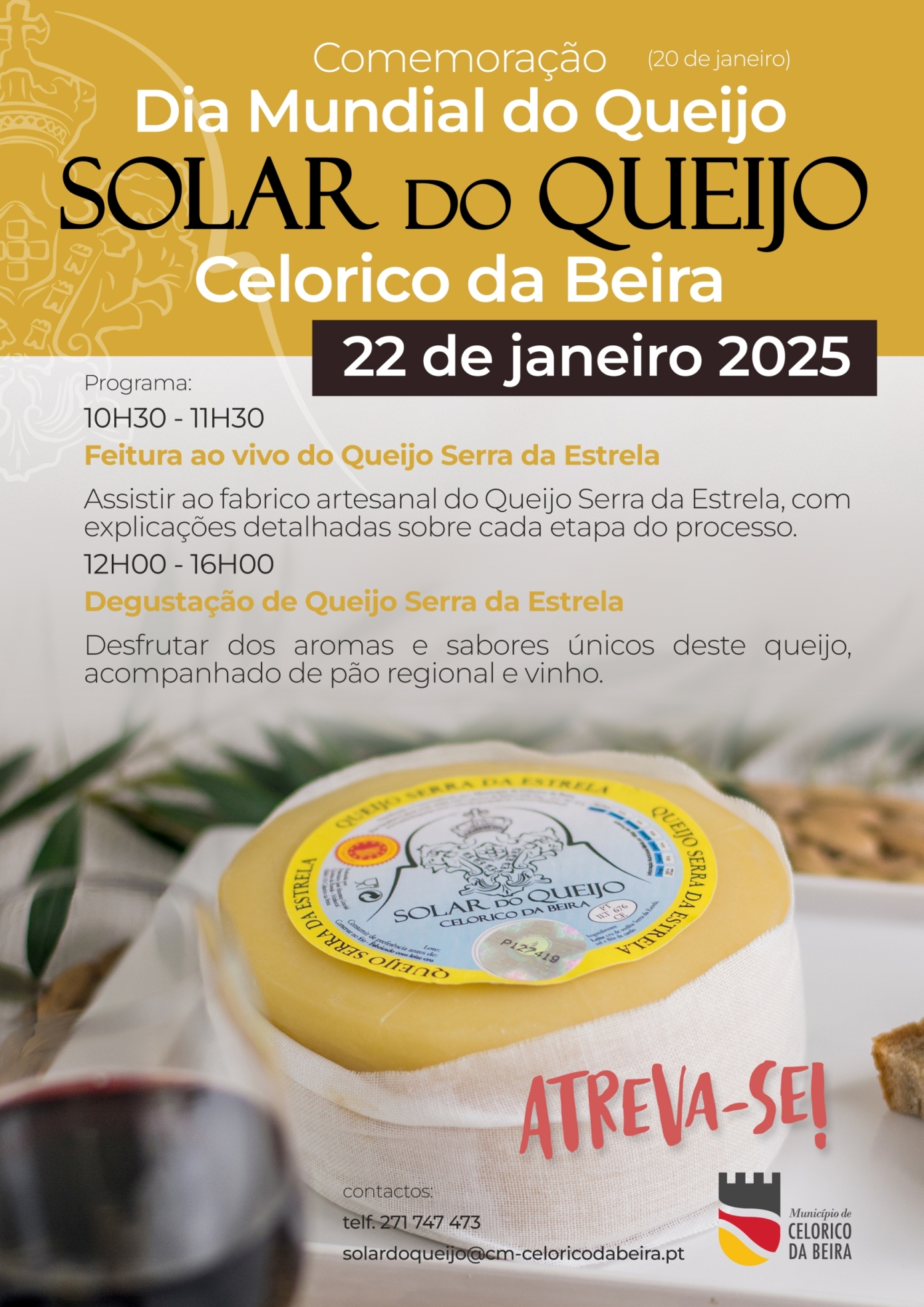 Dia Do Queijo Solar